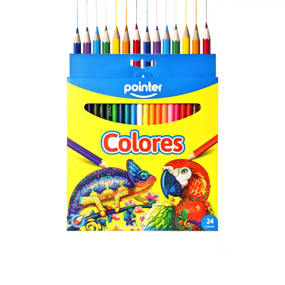 Lapices De Color X24color Pointer