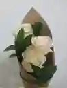 3 Rosas Blancas