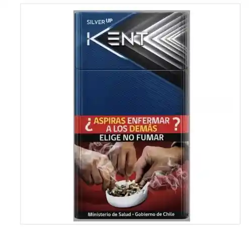 Kent Silver Up X 20un