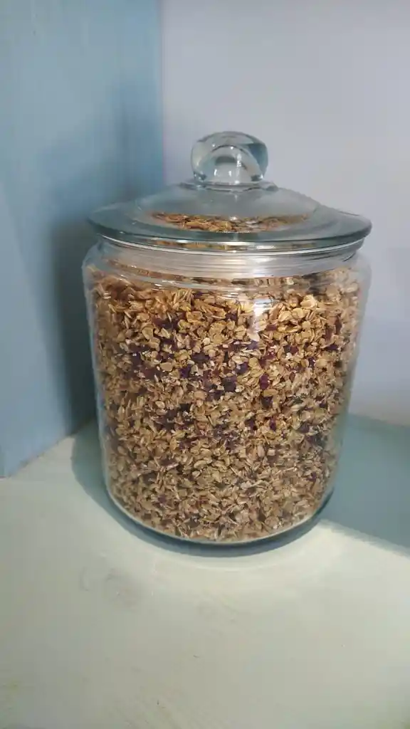 granola con cramBerry