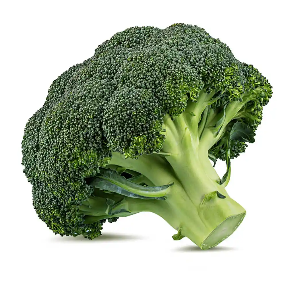 Brocoli