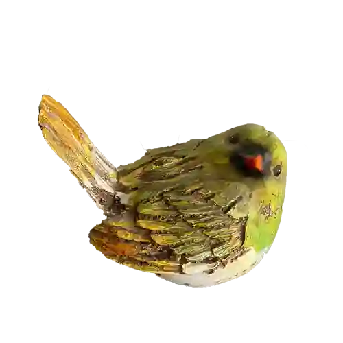 Pájaro Gordo Verde Grande