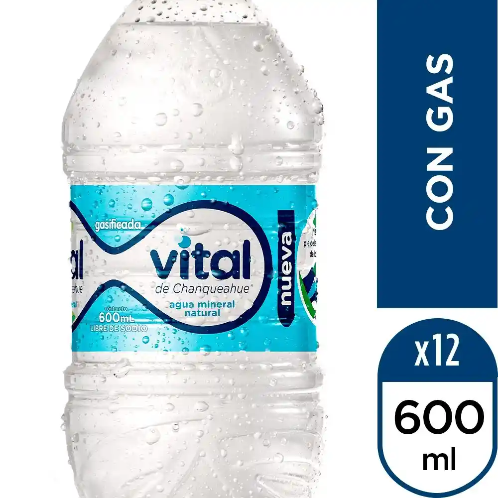 Vital Con Gas 600 Ml