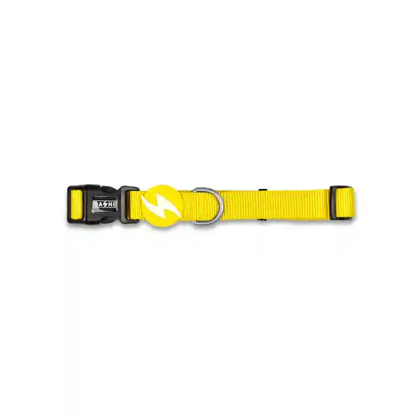 Dashi Solid Yellow Collar Canino M