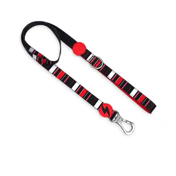 Dashi Slide Correa Canino