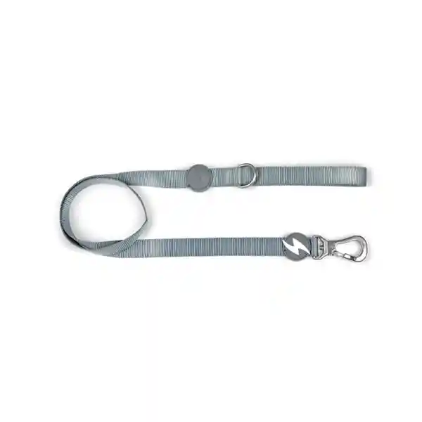 Dashi Solid Grey Correa Canino