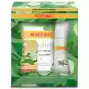 Burt's Bees Kit Facial Trio Pepino Y Menta