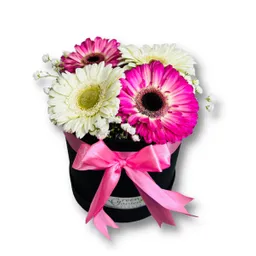 Caja De Gerberas Mix