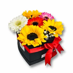 Caja Corazón De Gerberas Y Girasoles