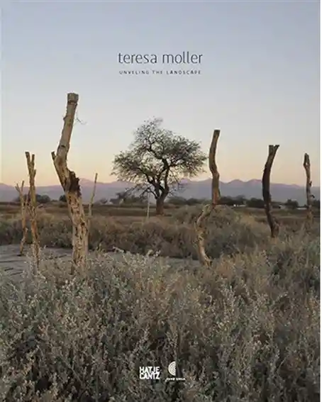 Teresa Moller. Descubriendo El Paisaje