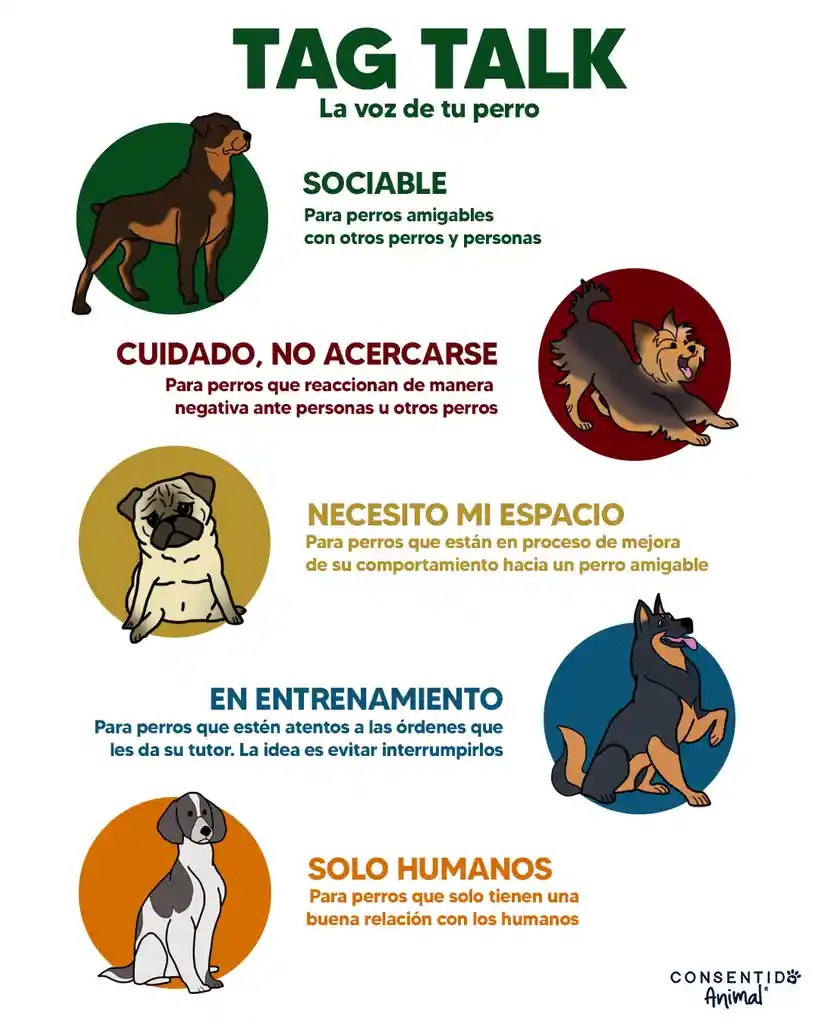 Tags Para La Correa De Paseos De Perros- Sociable -tagtalk