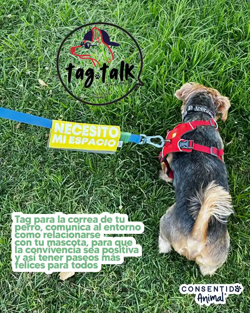 Tags Para La Correa De Paseos De Perros- Sociable -tagtalk