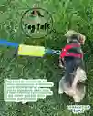 Tags Para La Correa De Paseos De Perros - En Entrenamiento - Tag Talk