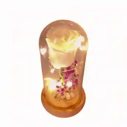 Capsula Grande Con Rosa Blanca Natural Preservada Con Luces Led