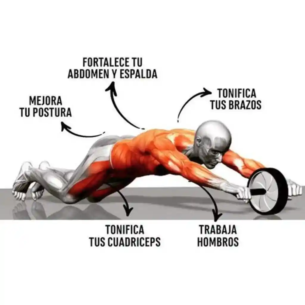 Ejercitador Rueda Para Abdominales