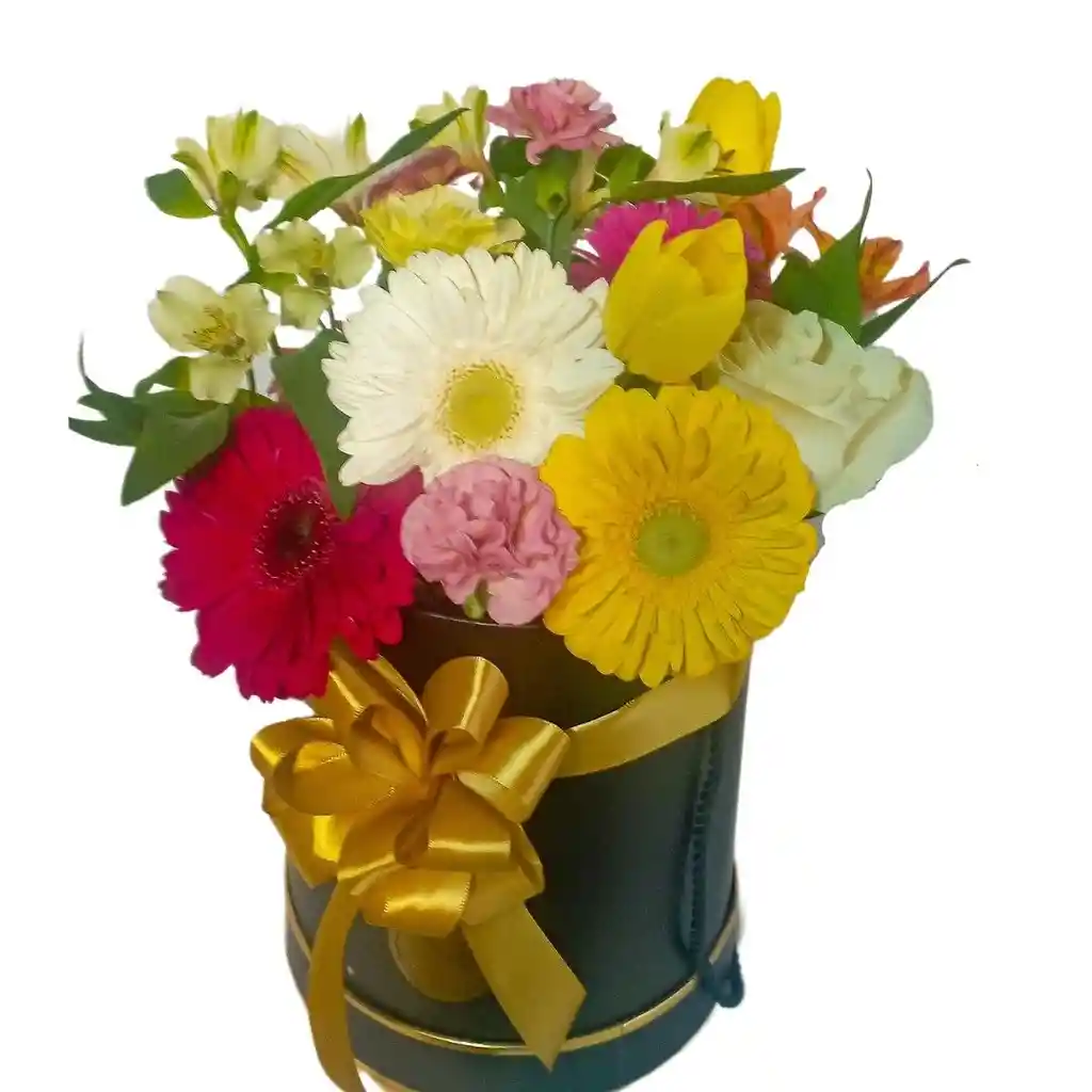 Flores En Box Colors