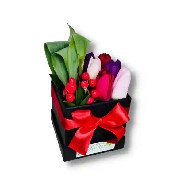 Cubo S Tulipanes Mix Romantico