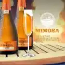 Undurraga Promo Espumantebrut X2