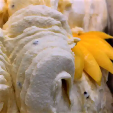 Helado 1/2 Litro Mango Maracuyá