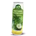 aguA De Coco 100% 520 ml