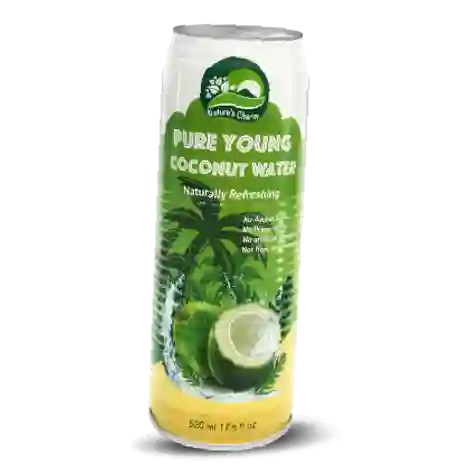 aguA De Coco 100% 520 ml