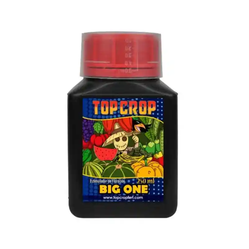 Big One 250 Ml Top Crop