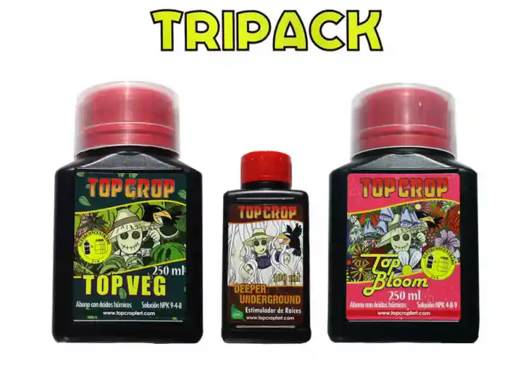 Tripack Top Crop