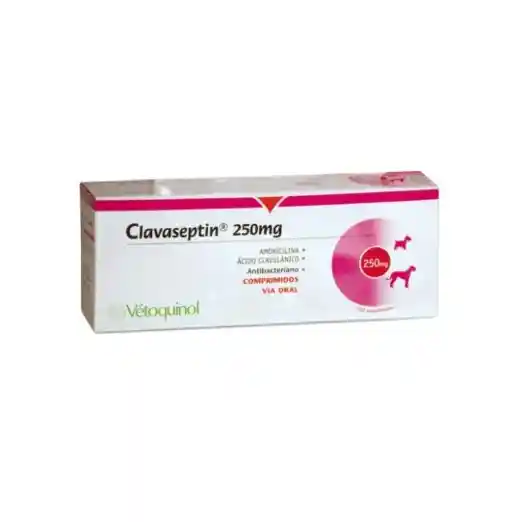 Clavaseptin 250mg