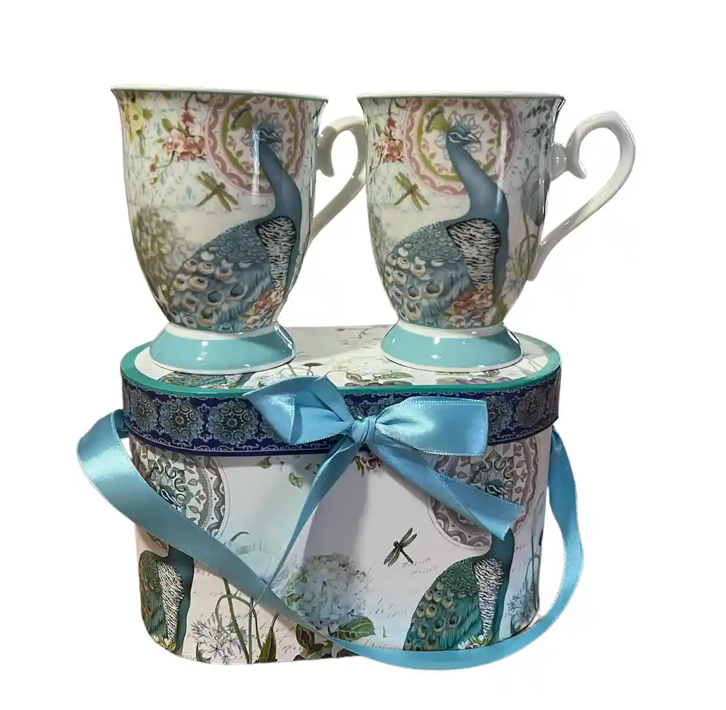 Set De 2 Tazas De Porcelana Vintage Simple Con Caja Modelo A