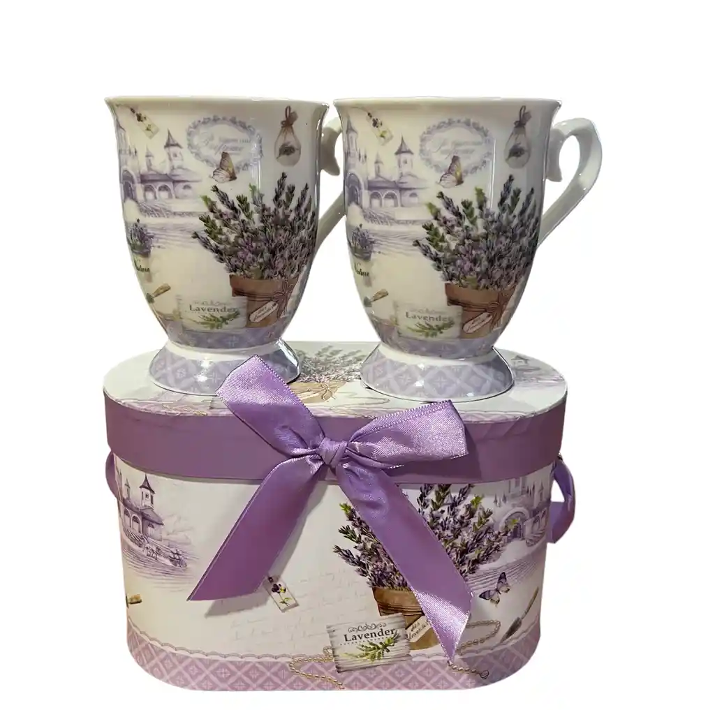 Set De 2 Tazas De Porcelana Vintage Simple Con Caja Modelo B