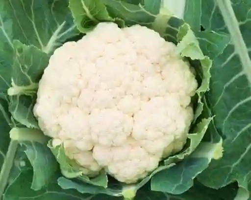 Coliflor (unidad)