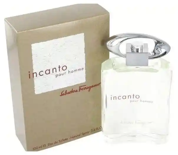 Ferragamo Incanto Pour Homme By100 Ml