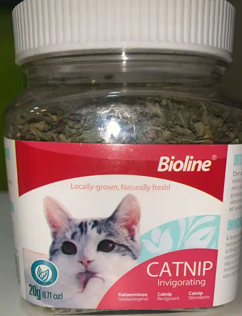 Catnip Hierba Gatera 20 Gr