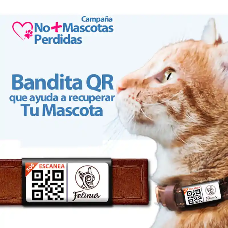 Bandita Qr Para Collar