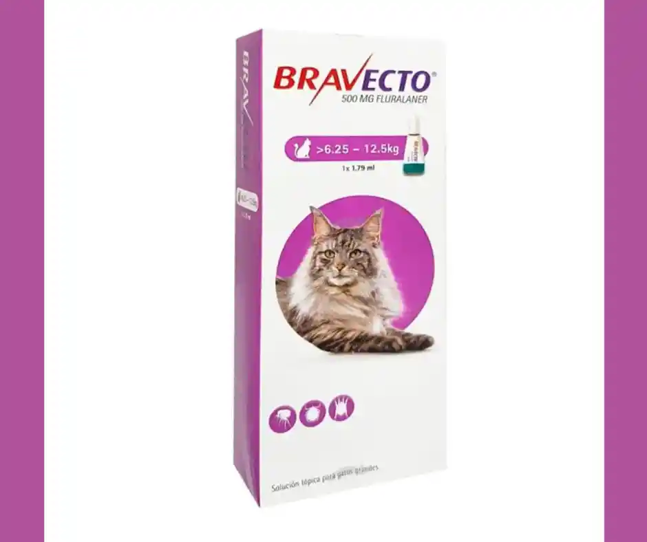 Bravecto Gato 6,25 - 12,5kg