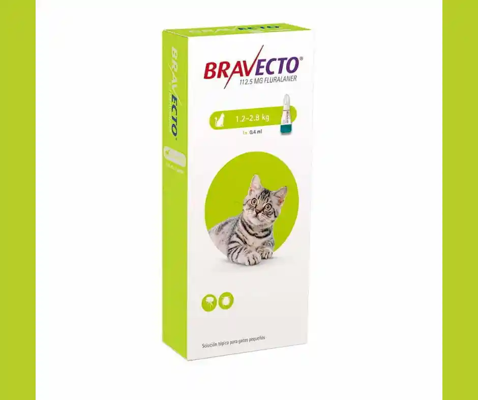 Bravecto Gato 1,2 - 2,8kg