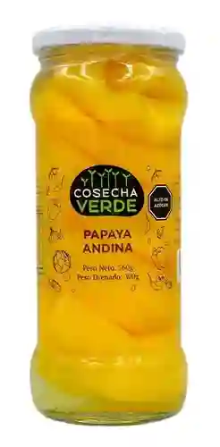 Papaya Andina Sin Azúcar Añadida 560gr.