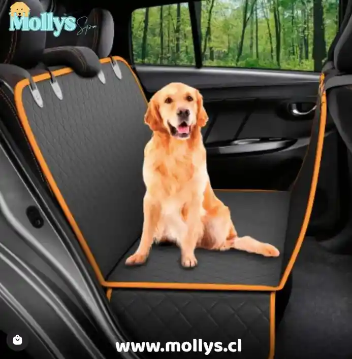 Funda Protectora De Asiento Para Automovil