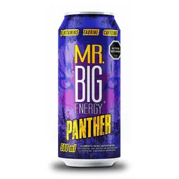  Mr Big  Panther 500Cc 