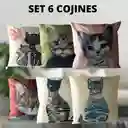 Set De 6 Cojínes De Tela Diseño De Retrato Gatitos B