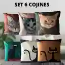 Set De 6 Cojínes De Tela Diseño De Retrato Gatitos C