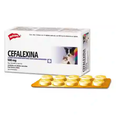 Cefalexina 500 Mg