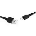 Cable Hoco X20 Usb A Tipo C De 3m - 3a Exotic Radiance Negro