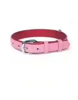 Collar Cuero Liso Talla 2