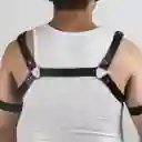 Harness Rati