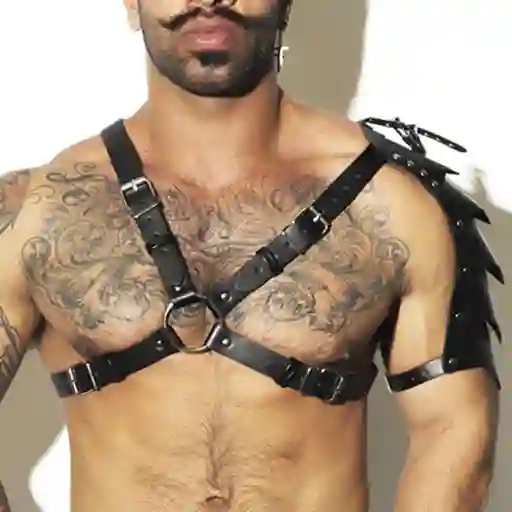 Harness Ares