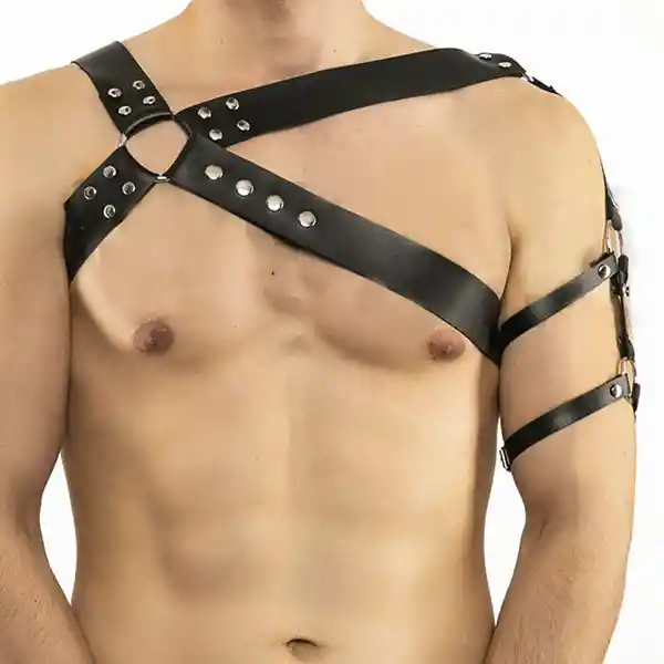 Harness Apolo