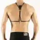 Harness Hímero