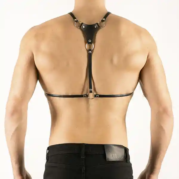 Harness Hímero