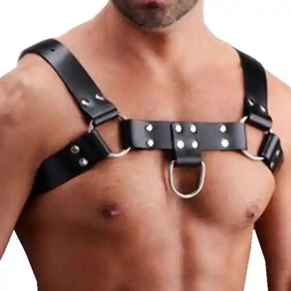 Harness Eros